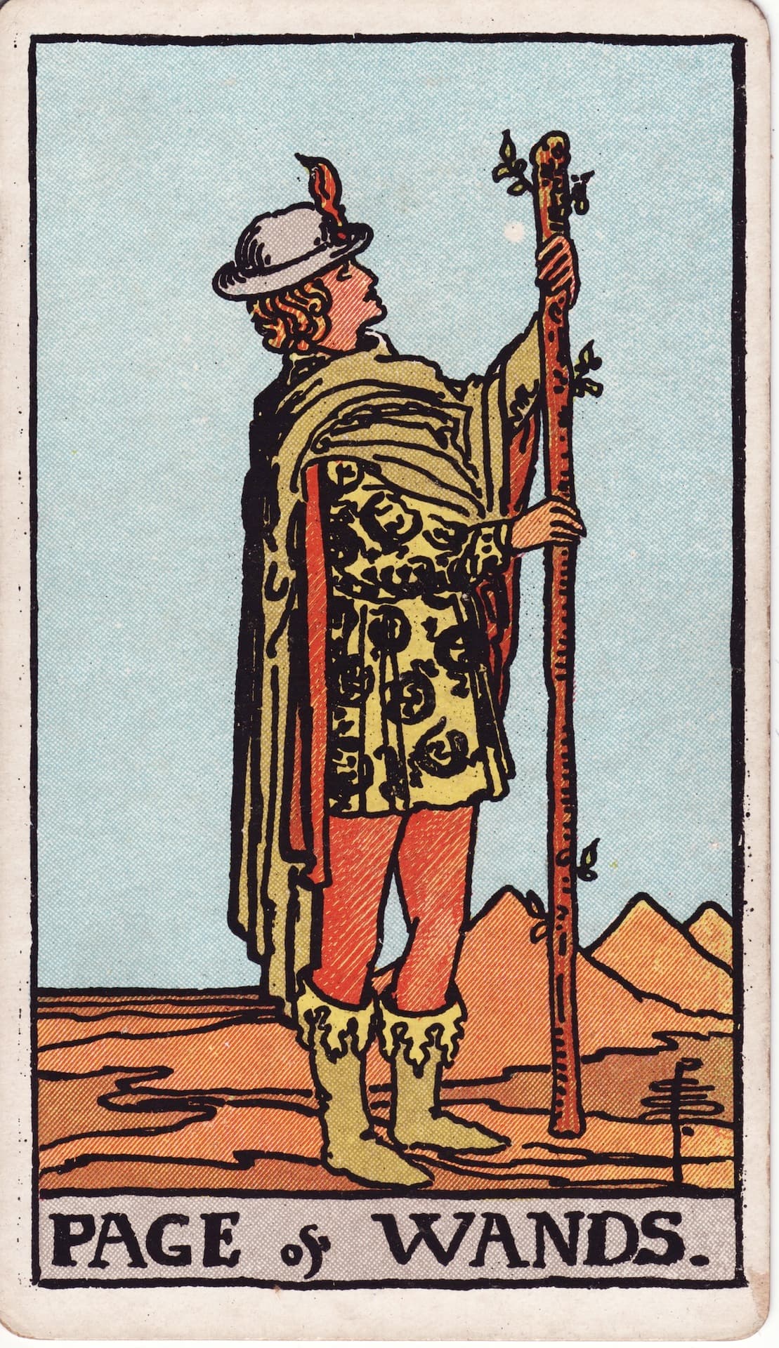 Carta Pagem de Paus